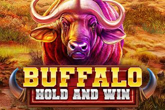 Buffalo Hold and Win